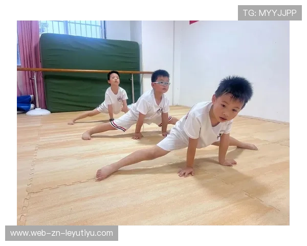 跆拳道学院完善青少年训练档案管理与成长评估，跆拳道成长记录档案模板