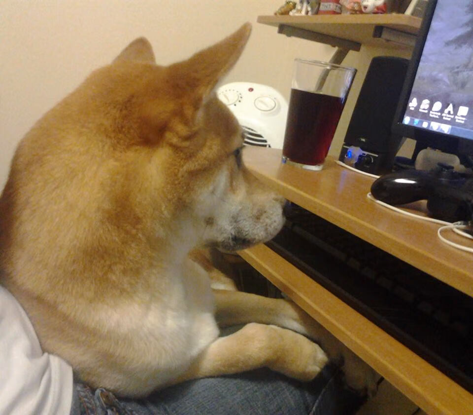 中国三人女篮进攻端表现出色 抢占先机，中国三人女篮百度百科