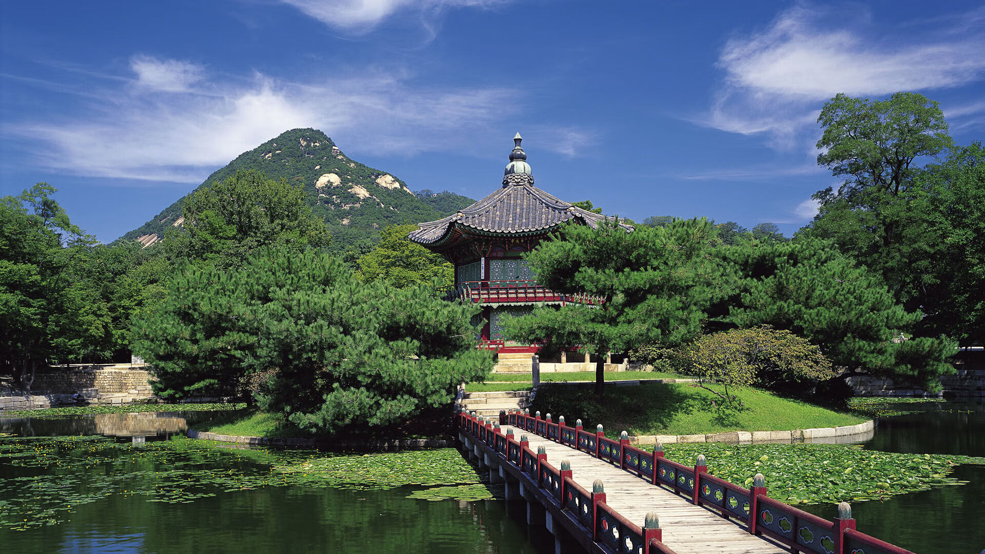 体育新闻中心支持青少年赛事多语种解说平台建设,中央广播电视总台体育青少节目中心是哪个台