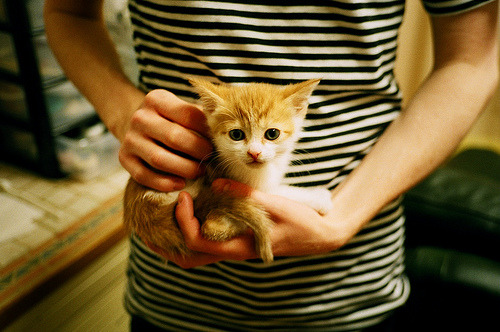 比赛宣传视频加入手语翻译版本，手语比赛致辞