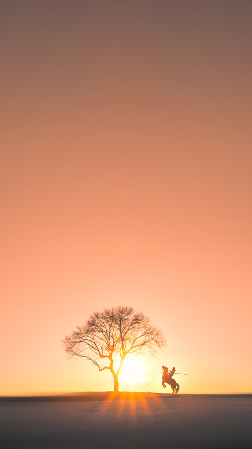 自然节奏与技术节奏谁主蝶泳后程？，蝶泳 节奏