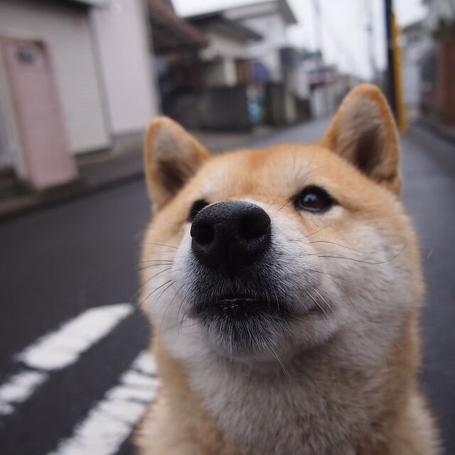 中国足球国家队守门员专项训练科学规范，足球守门员训练教程视频