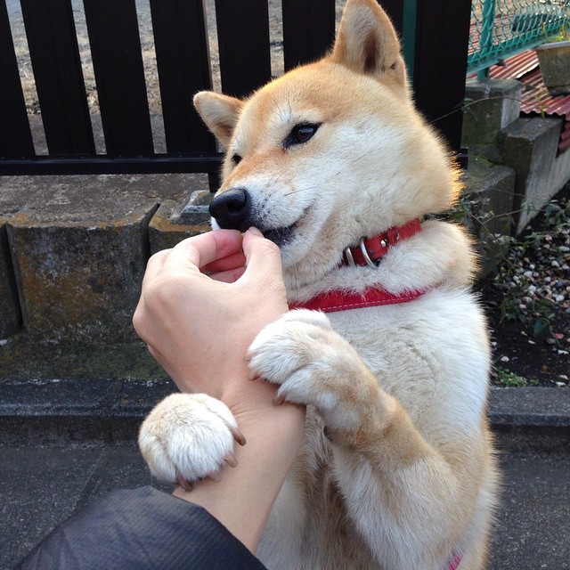 女子国家队加强中前场配合训练提升传控能力